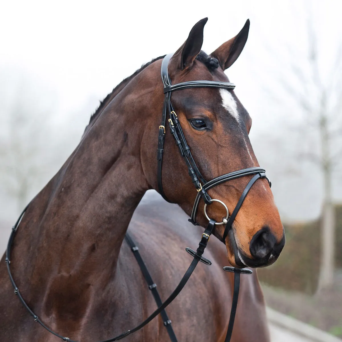 Horze Constance Bridle